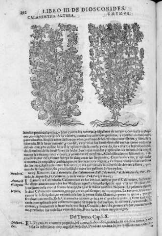 352