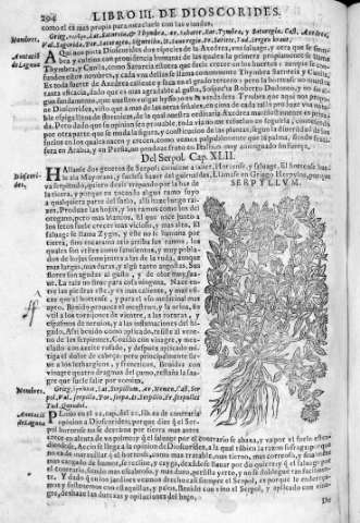 354