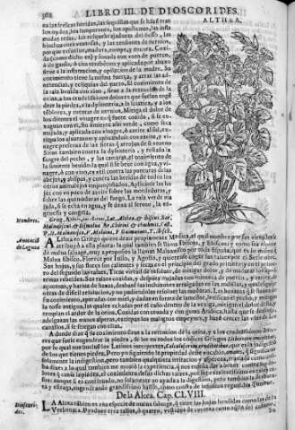 428