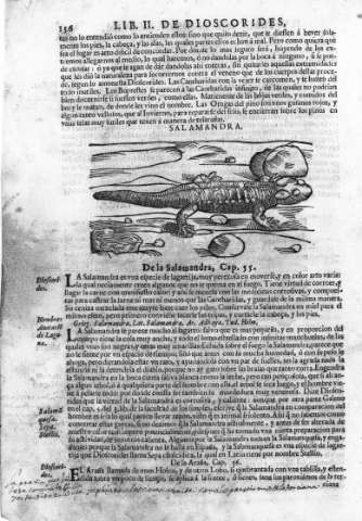 156