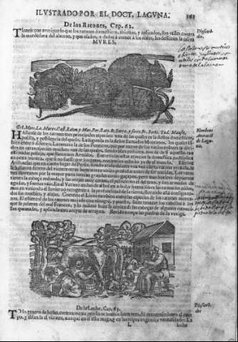 161