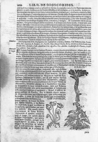 200