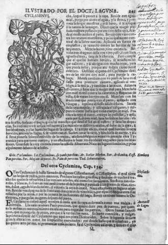 241