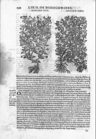 254