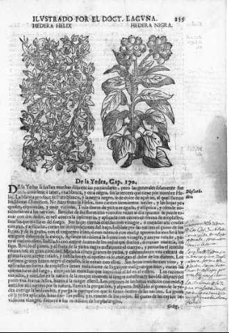 255