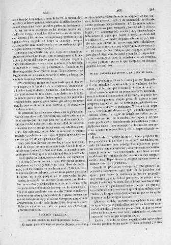 251