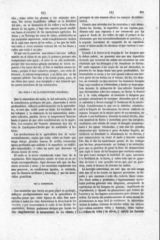 261
