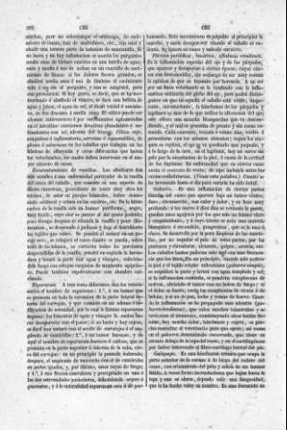 382