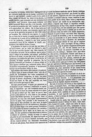 256