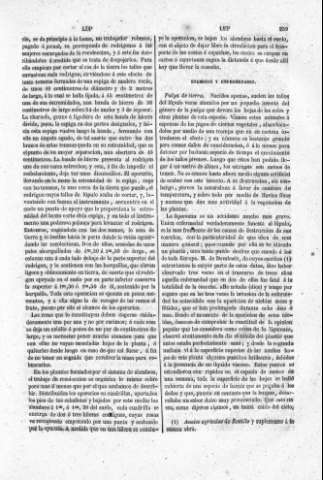259
