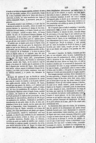 261