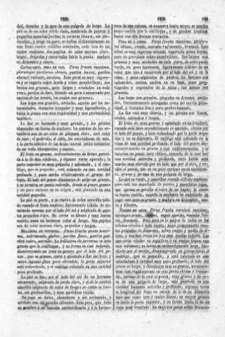 199