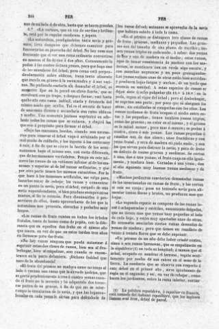 244