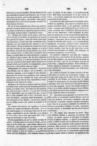 251