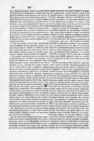 256