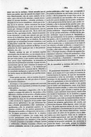 381