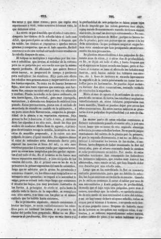 167