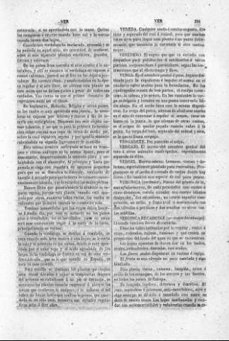 251