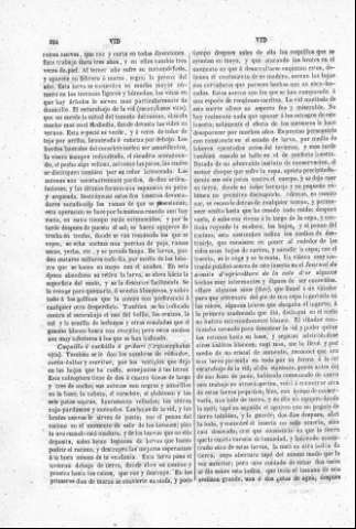 354