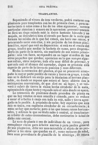 216