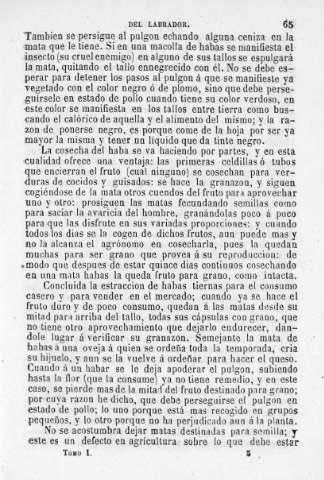 65