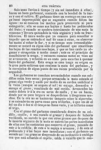 80
