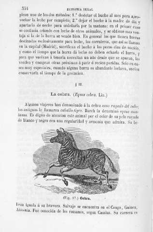 354