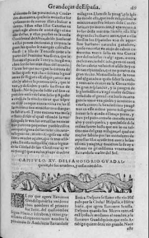 119r