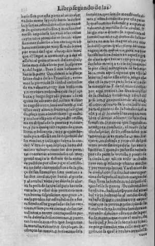 151v