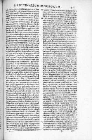 81