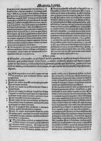 Folio XXIv