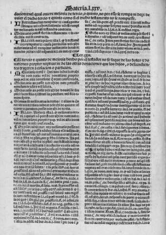 Folio XXVv