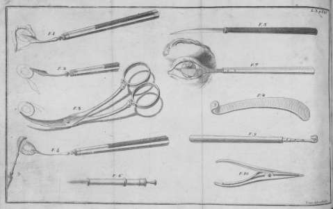 L.3 v