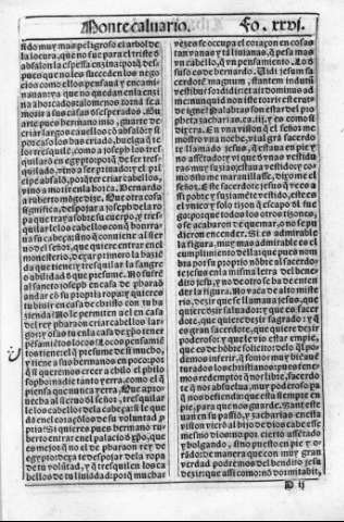 fo.xxvi r