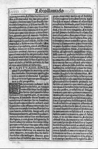 fo.xxxv v