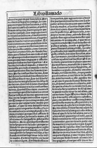 fo.xliii v