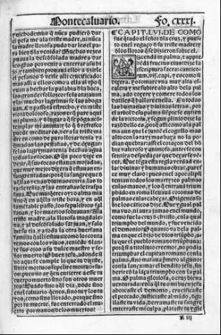 fo.cxxxi r