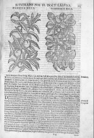 103