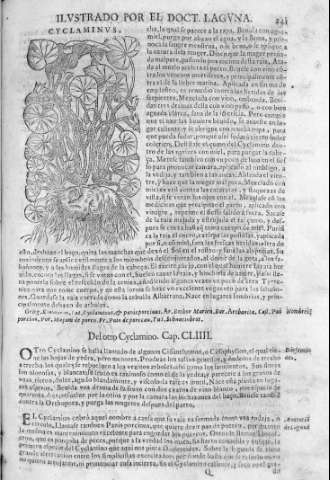 241