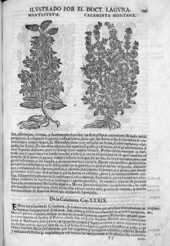 291
