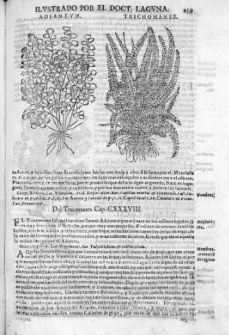 459