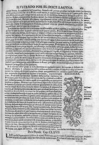 481