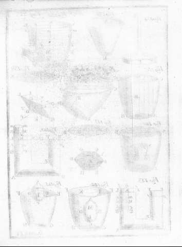 Lam.XIV v