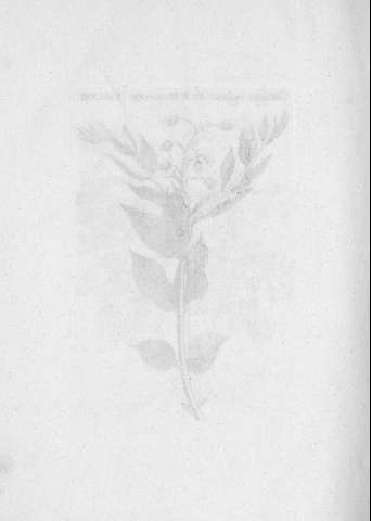 TAB.LXIII v