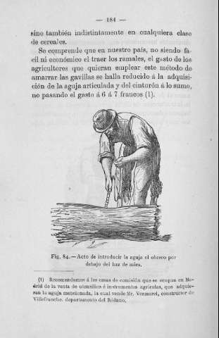 184