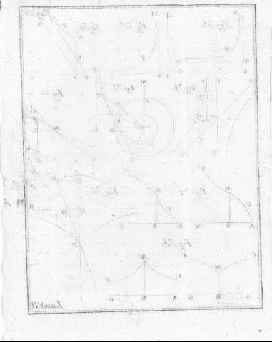 Lam.VII v