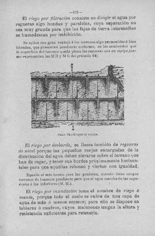 131
