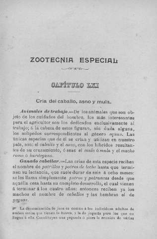 291