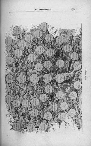 155