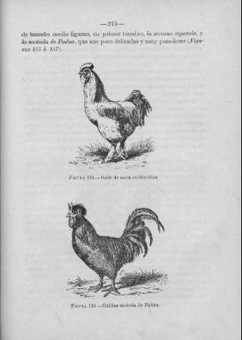 215